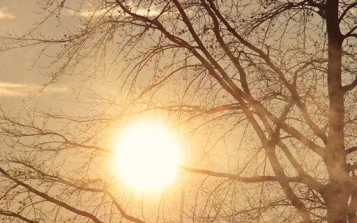 Bringing Yourself To The Present Moment