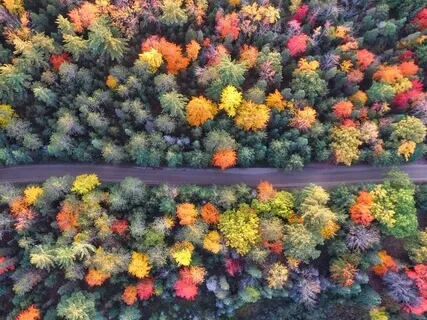 Broken Men, Bright Women, And Financial Independence