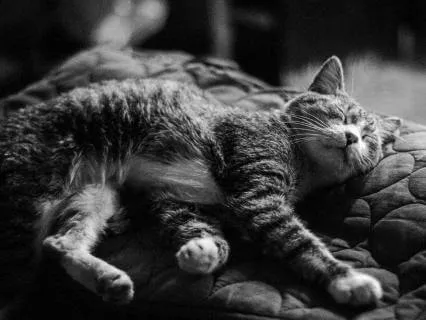 Broken Night Relief: Deep Rain Sleep Ambient
