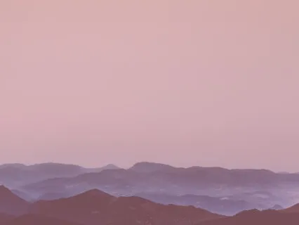 Broken Photosynthesis