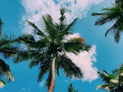 Brown: Blessings From Beyond Time