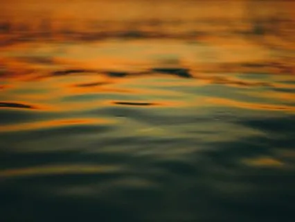 Brown Noise Brown Noise Plain