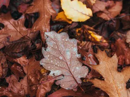Brown Noise - Calming Rain - Distant Thunder