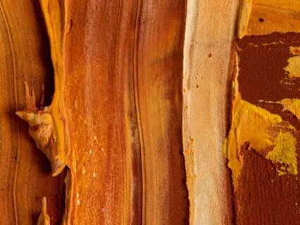 Brown Noise & Nature Sounds (Crickets)