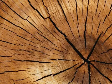 Brown Noise For Calming The Nervous System (2 Minutes)