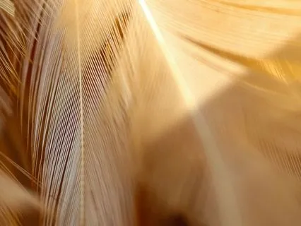 Brown Noise for Deep Sleep (120 Minutes)