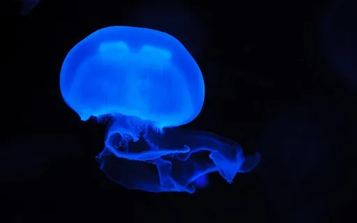 Brown Noise For Deep Sleep