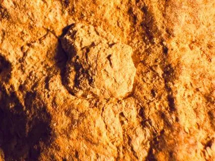 Brown Noise For Sleep, 8 Hours