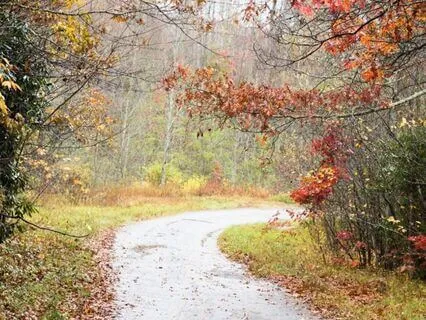Brown Noise & Gentle Rain: Deep Calm And Focus
