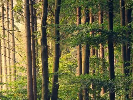 Brown Noise Overnight For Deep Sleep [8 Hours]