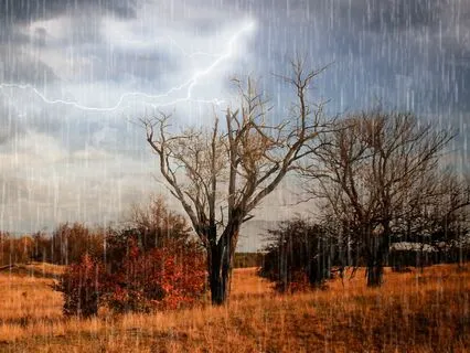 Brown Noise & Rainstorm New Zealand
