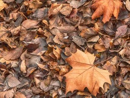 Brown Noise - Relaxing / Focus Background Noise