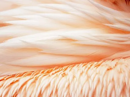 Brown Noise & Schumann Resonance 7.83Hz