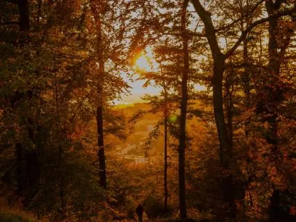 Brown Noise To Stay Asleep Overnight