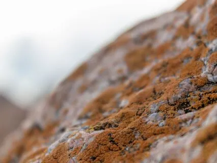 Brown Noise & Whispering Spring | Brown Noise Collection