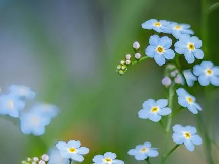 Brunerra - Music For Relaxation And Stress Relief