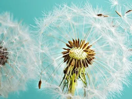 Peace Of Mind Breath With Binaural Beats (Intermediate)