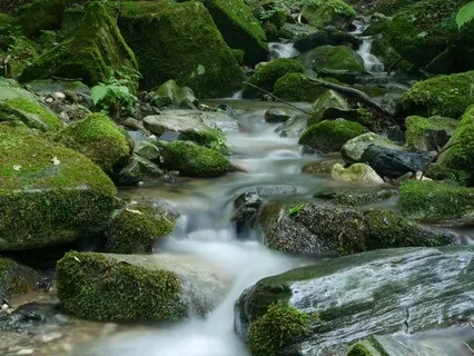 Bubbling Brook @ 40Hz