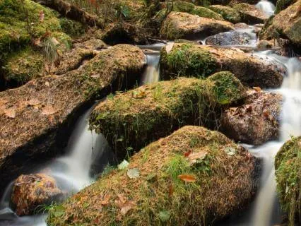 Bubbling Brook For Deep Sleep | 8 Hours