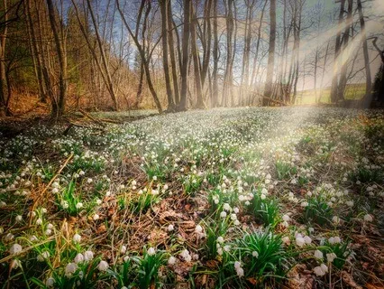 Bubbling & Burbling River For Visualization & Calm