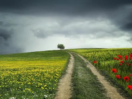 Budda Meditate Music - 528 Hz