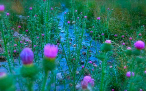 Buddha: 5 Ways To Let Go