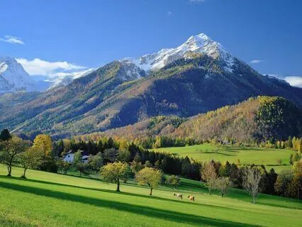 Buddha Mindful Music For Stress Relief