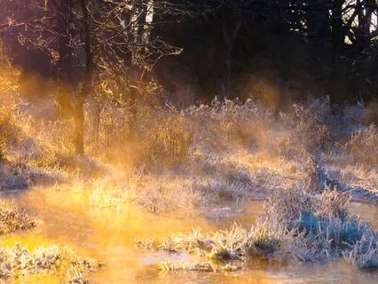 Buddha's "Most Important Meditation": Patience