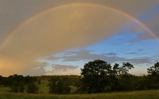 Buddha: What's NOT Wrong?