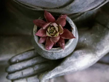 Buddha's Life Story: How We Got The Four Noble Truths