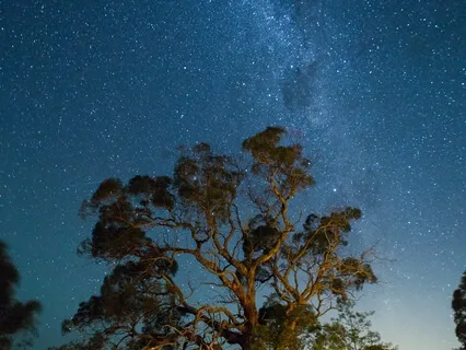 Buddha’s Playground - Playground (Piano & Percussion Music)