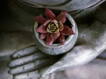 Buddhist Basics: The First Noble Truth