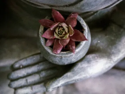 Buddhist Basics: The Second Noble Truth