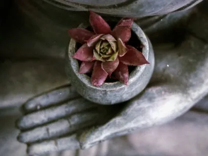 Buddhist Basics: The Third Noble Truth