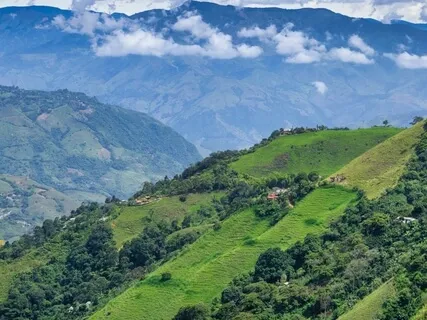 Buenas Dias, Medellin, Colombia