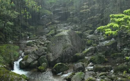 Buffalo Drum & Rain (Bilateral Stimulation) Long Version