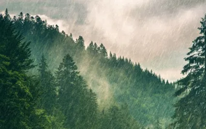 Buffalo Drum & Rain (Bilateral Stimulation) Short Version