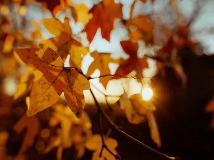 Build Body Positivity