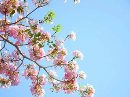 Build Boundaries Practice