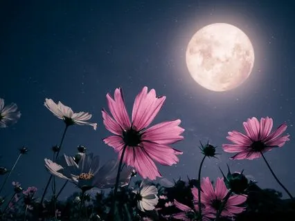 Build Courage And Resilience Sleep Meditation