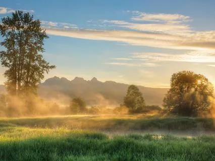 Calm Focus For A Busy Or Distracted Mind