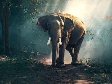 Build Mental & Emotional Strength (Total Self Power)