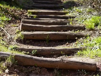 Build Momentum & Courage With Small Brave Steps