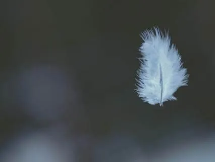 Build Presence And Non-Dual Awareness With This Meditation