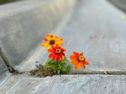 Build Resilience To Your Response To Anger