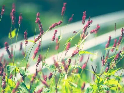 Build Resilience To Stress ~ The Resonance Breath Practice