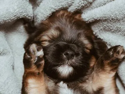 Build Your Nest : Kids Bedtime Meditation