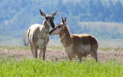 Building A Compassionate Empowered World