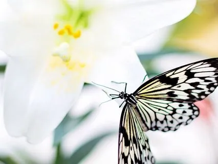 Building A Life Of Meaning And Fulfillment