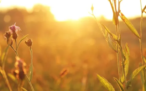 Building A Peaceful Relationship With Difficult Experiences